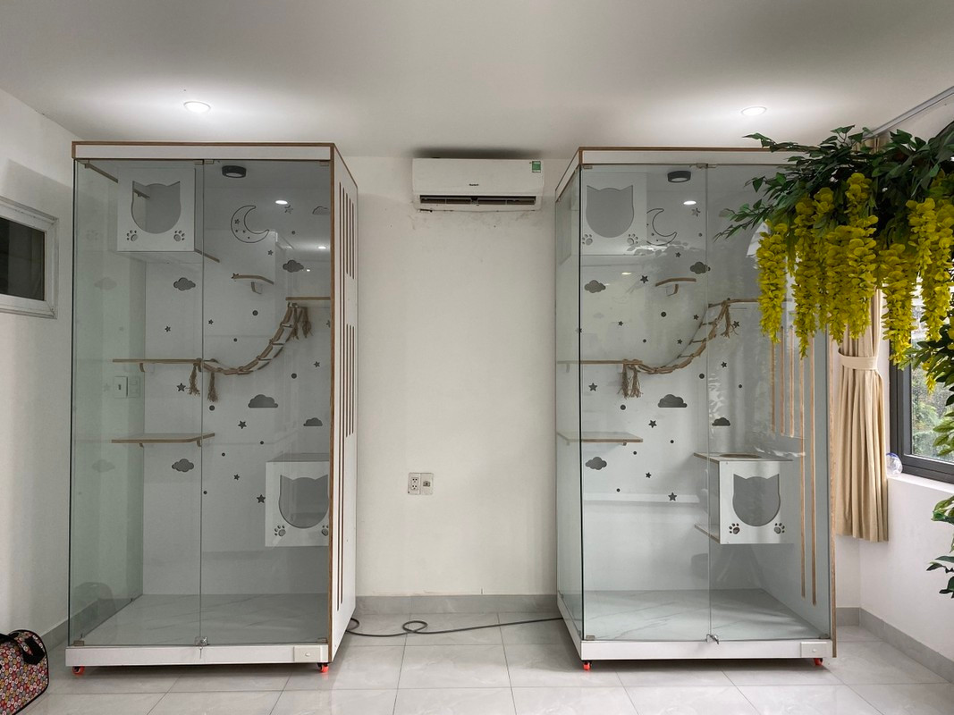 Theo các chủ chuỗi khách sạn thú cưng, dịp Tết Nguyên đán nhu cầu gửi chó, mèo tăng cao gấp nhiều lần so với ngày thường. Hầu hết chủ nhân phải gửi lại thú cưng ở khách sạn để tiện đi lại, về quê ăn Tết. Ảnh: BMPS