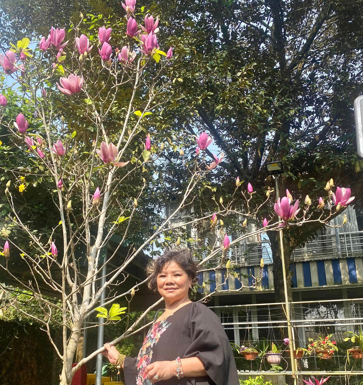 Mới đây, NSND Thanh Hoa chia sẻ hình ảnh cây mộc lan lộng lẫy trong vườn nhà khiến khán giả không khỏi xuýt xoa.