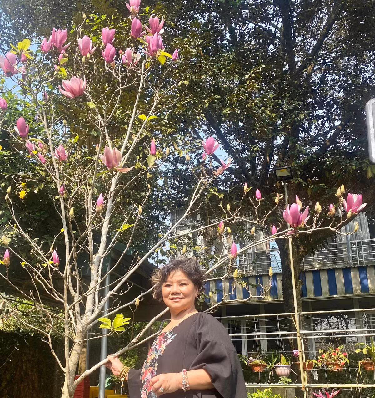 Mới đây, NSND Thanh Hoa chia sẻ hình ảnh cây mộc lan lộng lẫy trong vườn nhà khiến khán giả không khỏi xuýt xoa.