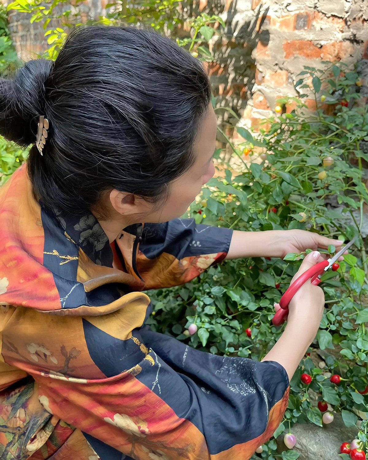 Tại đây, nghệ sĩ Thanh Thanh Hiền trồng rất nhiều cây ăn trái và hoa tươi. Ảnh: FB Thanh Thanh Hiền