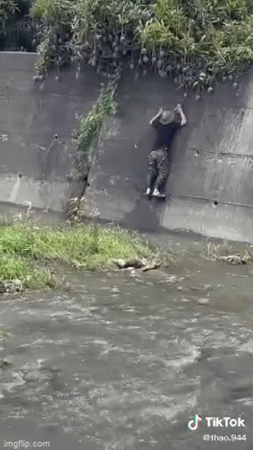 Cây xoài sai trĩu cành nhưng mọc ở vị trí "hiểm hóc" nhất Việt Nam. Ai muốn hái là phải trải qua thử thách rất lớn.