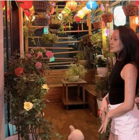 Dù ở chung cư nhưng mẹ Bảo Anh vẫn có không gian trồng các loại hoa như hoa hồng, hoa lan..
