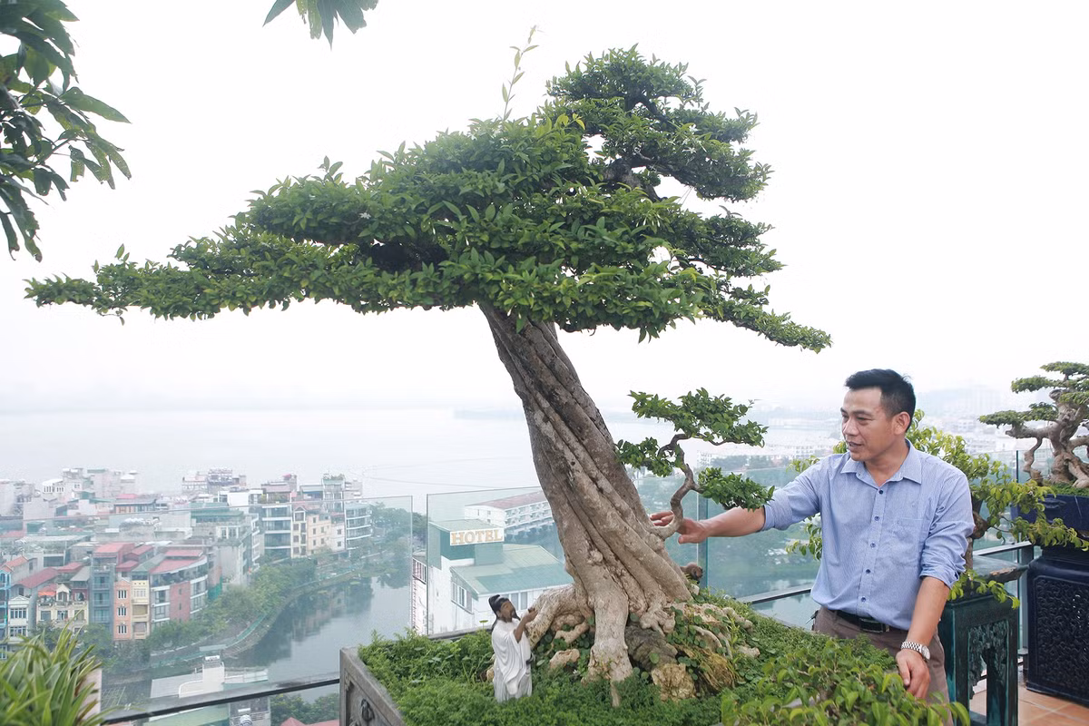 Tác phẩm mai chiếu thủy thoát thân vô cùng ấn tượng. Ảnh: Vietnamnet