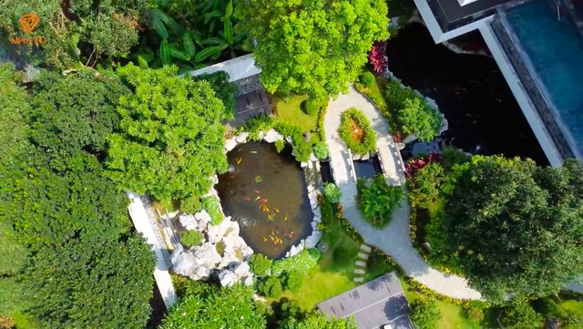 Ấn tượng nhất là hồ cá Koi lớn ôm quanh mặt tiền nhà.