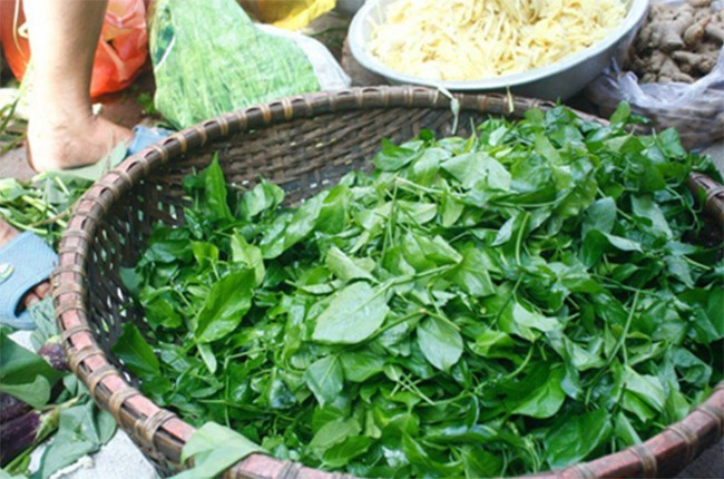 Từ món ăn dân dã, những năm gần đây, rau sen trở thành đặc sản xuất hiện trong các nhà hàng, quán ăn, được khách du lịch ưa chuộng. Trong các cửa hàng rau sạch, rau sen được bán với giá tới 100.000 đồng/kg. Ảnh: Internet