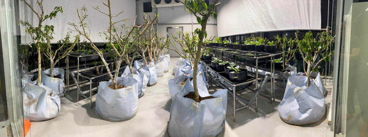 Nha dieu hoa sinh truong thuc vat - Giai phap tiem nang-Hinh-2