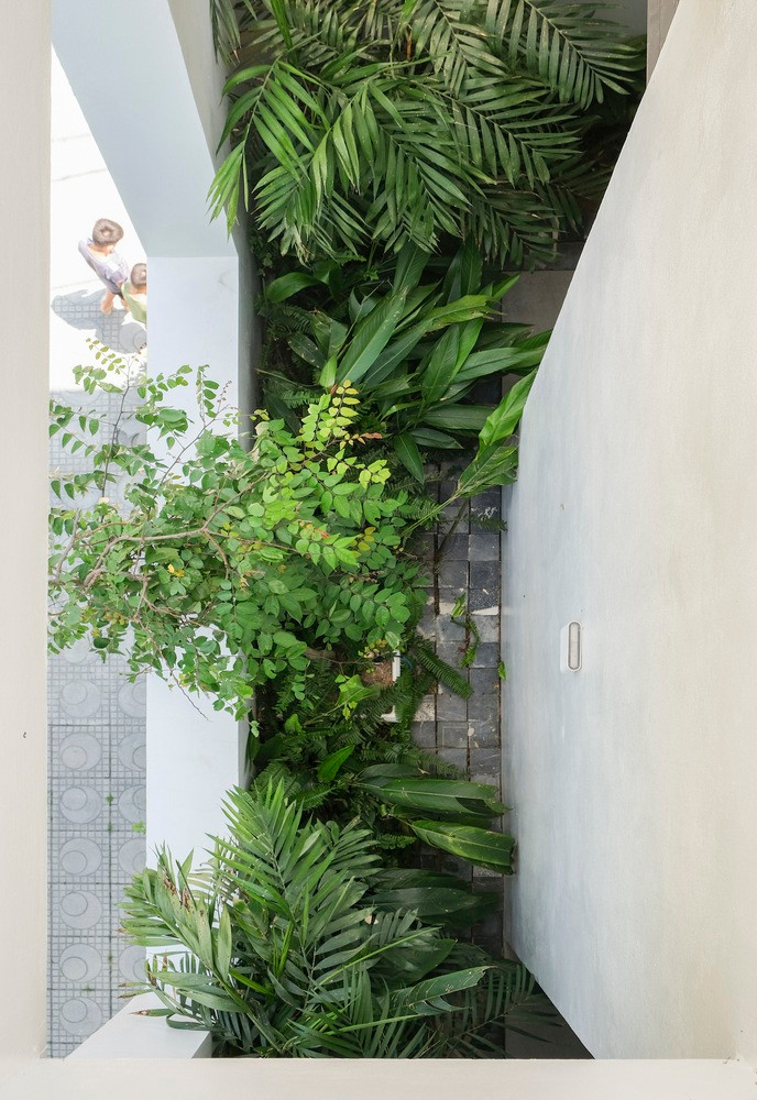 Những không gian đệm này góp phần làm mát đồng thời tạo cảnh quan bên trong và bên ngoài công trình.