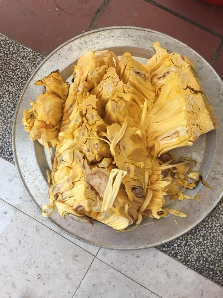 Đây là mít Malaysia trái dài, múi có màu vàng ươm, dài khoảng 15-20cm, phần xơ mít ăn cũng ngọt. Ảnh: Dân Việt