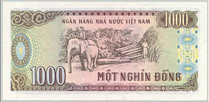 Tờ 1.000 đồng in hình ảnh người lao động cưỡi voi khai thác gỗ tại Tây Nguyên.