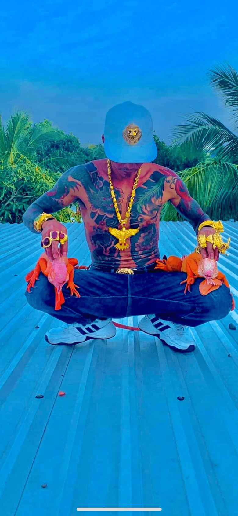 Dù vậy, anh không quên nhiệm vụ chính là nuôi rồng Nam Mỹ - nghề bén duyên với anh từ năm 30 tuổi.