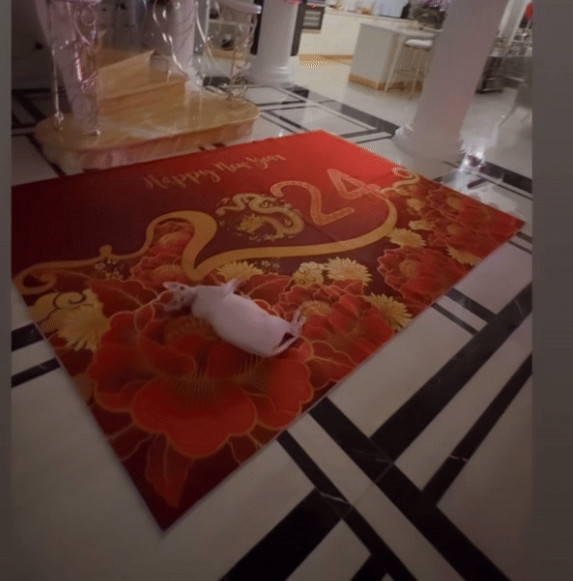 Điểm nhấn giữa phòng khách là chiếc thảm màu đỏ kích thước lớn có in họa tiết rồng uốn lượn kèm dòng chữ chúc mừng năm mới 2024.