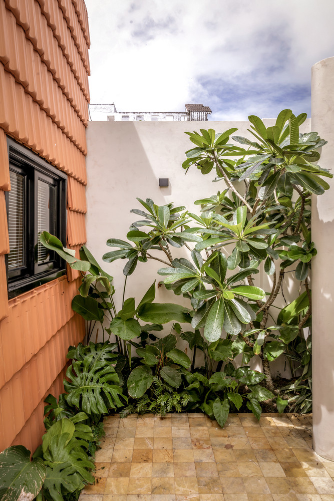 Đến một ngày, những khu vườn nhỏ sẽ phát triển rộng lớn và xâm chiếm không gian sống.