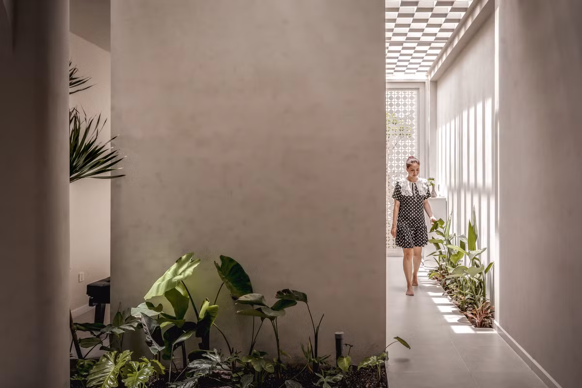 Khu vườn thứ 4 nằm ở trung tâm nhà, ngăn cách giữa phòng khách và bếp ăn.