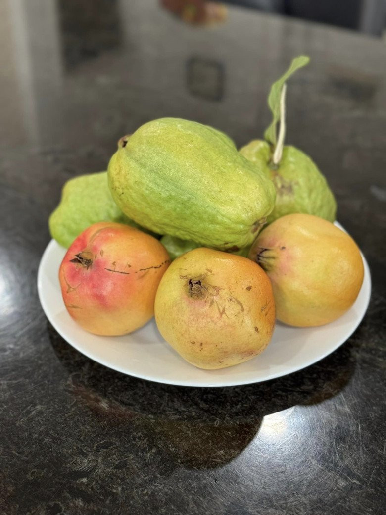 Dù số lượng không nhiều, Trịnh Kim Chi mang một ít tặng người thân để cùng thưởng thức. Ảnh: FBNV