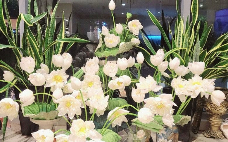 Cả một vườn hoa sen trắng nở trong nhà Mạnh Trường khiến chị em vô cùng thích thú. Ảnh: chụp màn hình