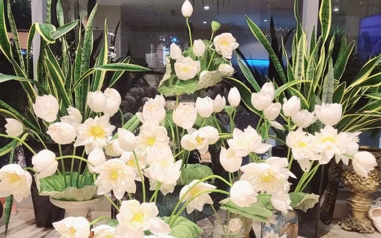 Cả một vườn hoa sen trắng nở trong nhà Mạnh Trường khiến chị em vô cùng thích thú. Ảnh: chụp màn hình