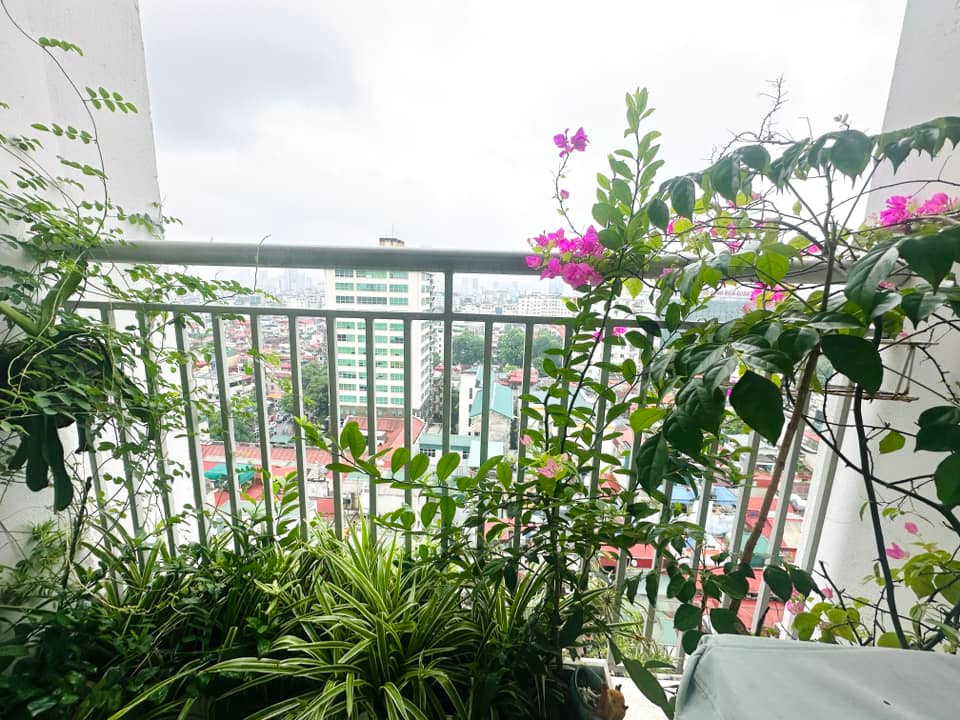 Khu vườn không chỉ là nơi thư giãn mà còn là nguồn cảm hứng cho niềm vui trong cuộc sống hàng ngày của nữ MC. Ảnh: FB Trang Hoàng