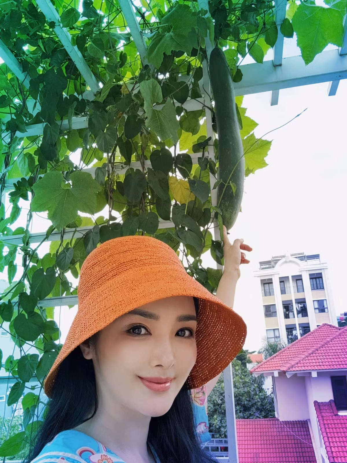 Trên sân thượng, Hoa hậu Giáng My còn trồng nhiều loại rau xanh, cây ăn trái và hoa.