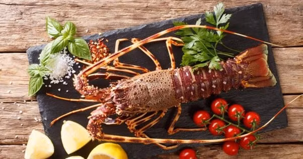 Sự ra đời của công nghệ an toàn thực phẩm cũng khiến giá tôm hùm tăng cao. Trước đây, tôm hùm thường được bán sống và tiêu thụ ngay sau khi mua. Ảnh: Getty