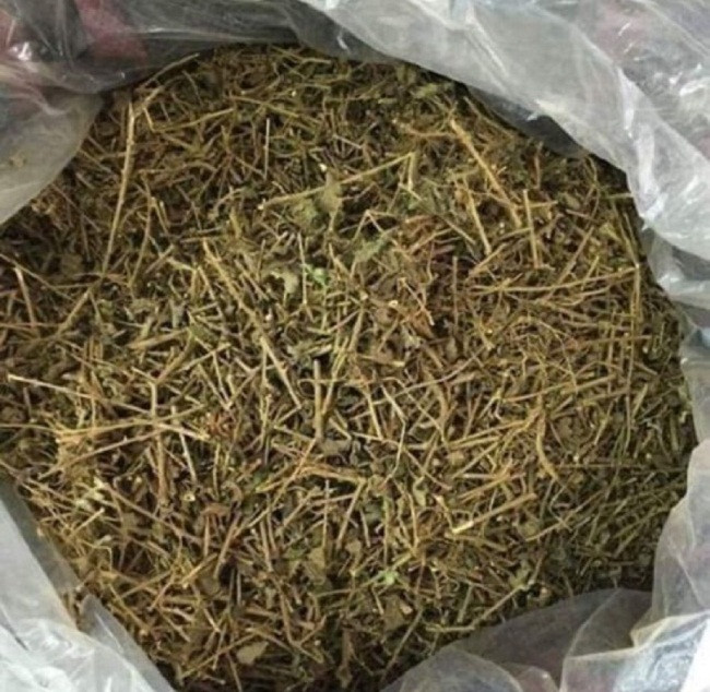 Trên thị trường, cà gai leo sấy khô được bán với giá 400.000 đồng/kg. Ảnh: Vietnamnet