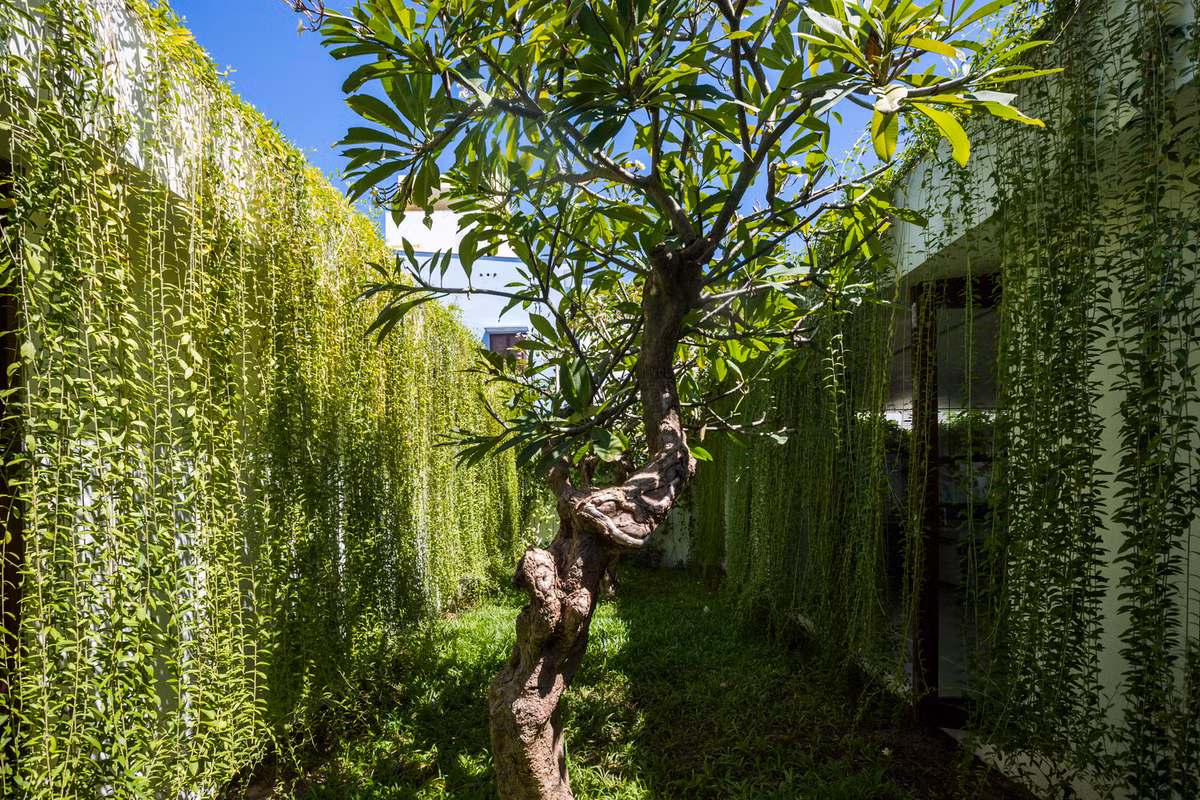 60% đó được sắp xếp một cách sáng tạo để cây cối không bao giờ khuất tầm mắt người nhìn. Ảnh: MIA Design Studio