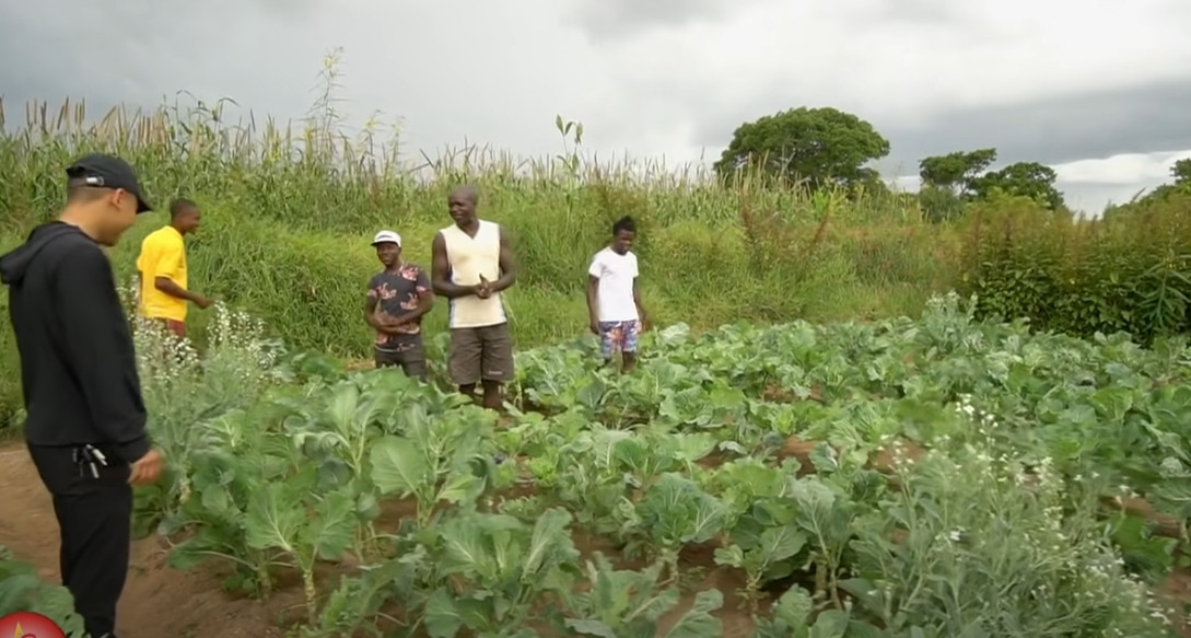Những ruộng rau xanh mát khiến fan của team Châu Phi thực sự vui mừng. Nguồn ảnh: FBNV