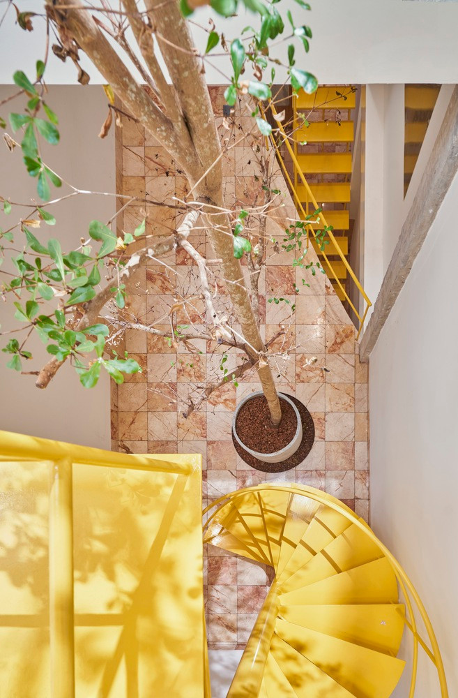 Cây xanh trở thành một phần không thể thiếu trong nhà phố.