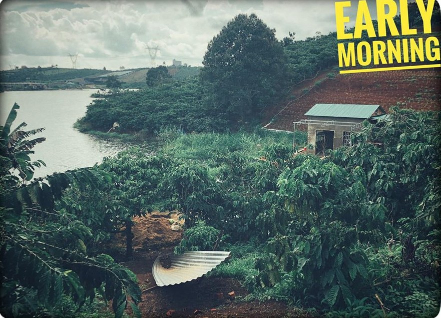 Ngôi nhà lọt thỏm giữa không gian ngập tràn cà phê rộng lớn khiến bao người trầm trồ. Ảnh: FBNV