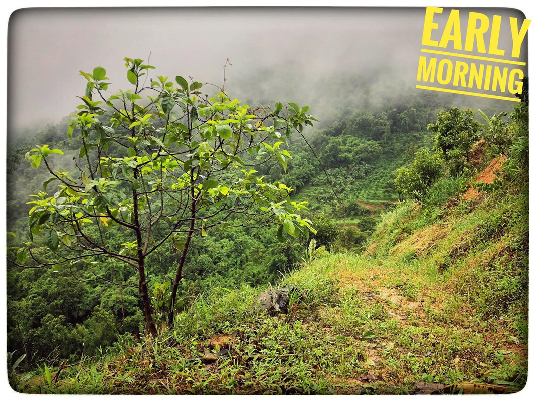 Cuộc sống thanh bình, làm "nông dân" miền sơn cước của vợ chồng Tiến Đạt - Thụy Vy khiến nhiều người thích thú. Ảnh: FBNV