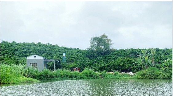 Dù không tiết lộ vị trí địa lý nhưng qua những chia sẻ của cặp đôi, có thể thấy chốn lui về nằm trên vùng đất cao nguyên thuộc tỉnh Lâm Đồng. Ảnh: FBNV