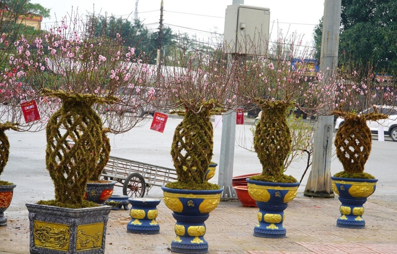 Dù vậy, chủ nhân sợ không đủ hàng để bán cho khách vì số lượng ít. Ảnh: Tiền phong