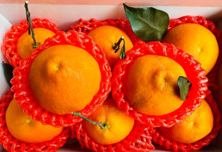 Do giá rẻ và được đóng hộp cẩn thận nên quýt chum giống Nhật được khách hàng rất ưa chuộng. Ảnh: Vietnamnet