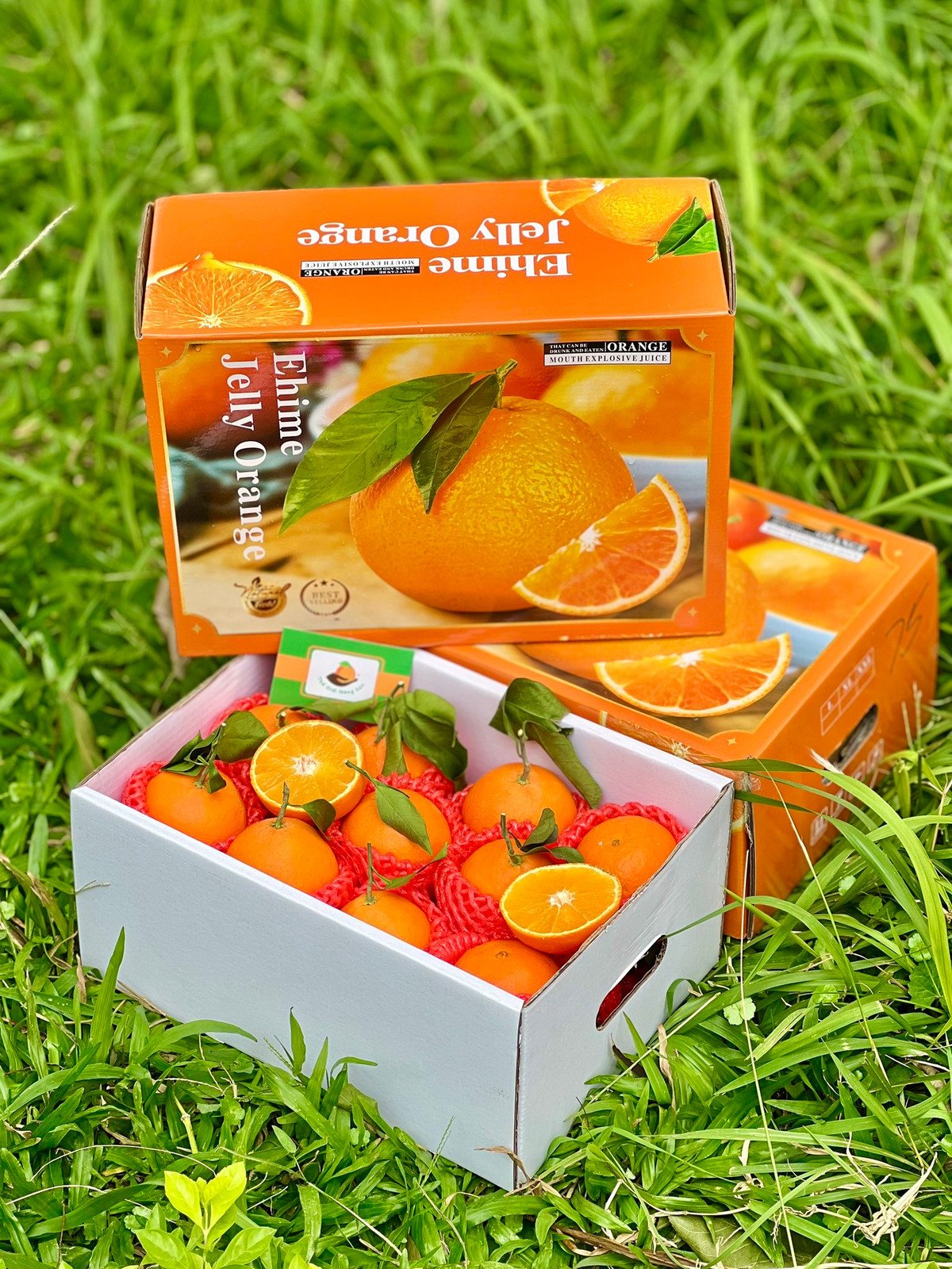 Dưới bài đăng, khách ào ào đặt mua. Do giá rẻ nên nhiều người đặt mua 1 thùng, 2 - 3 thùng về ăn dần. Chỉ sau 1 ngày, cửa hàng đã không còn để bán cho khách. Ảnh: Facebook