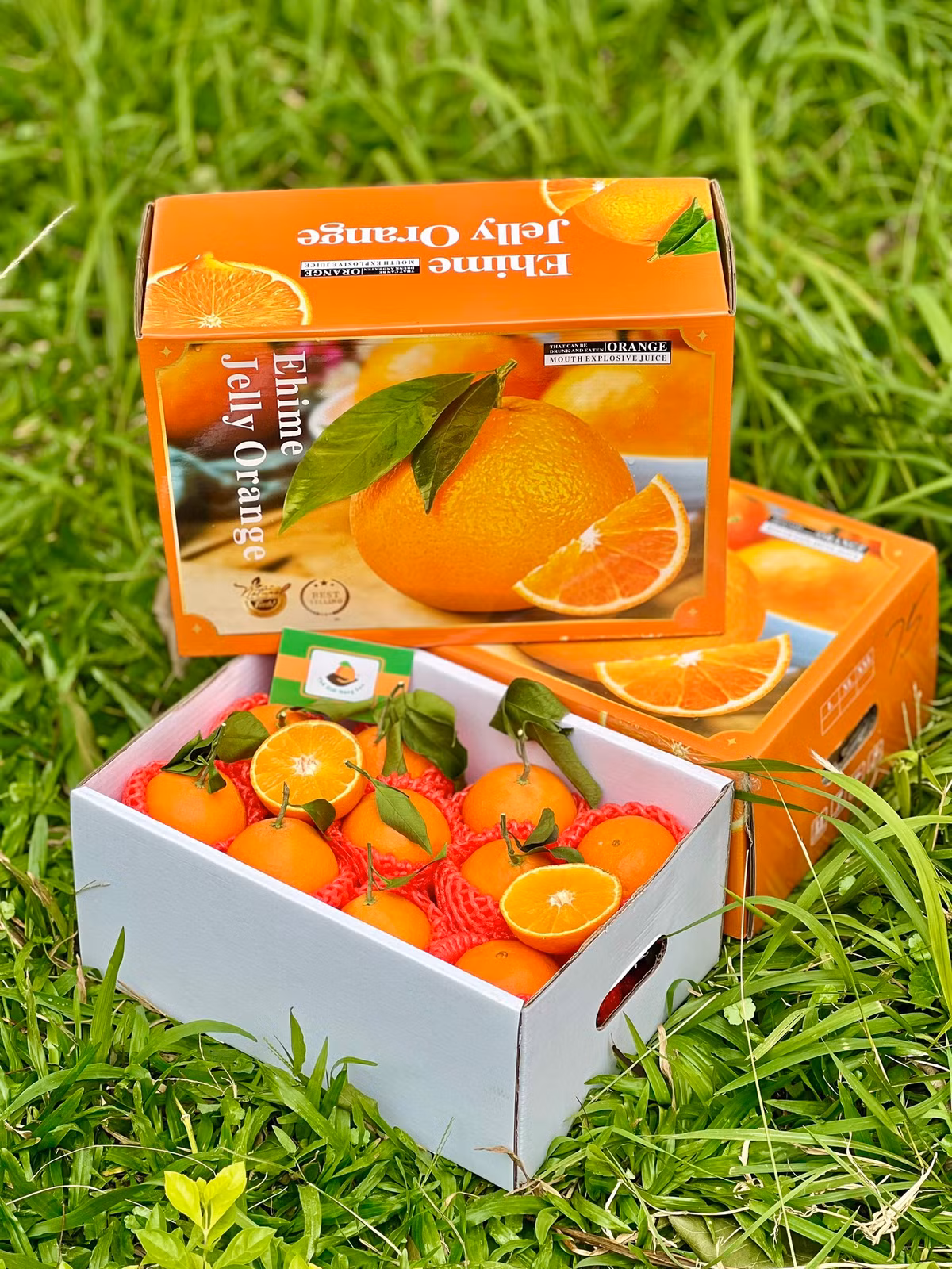 Dưới bài đăng, khách ào ào đặt mua. Do giá rẻ nên nhiều người đặt mua 1 thùng, 2 - 3 thùng về ăn dần. Chỉ sau 1 ngày, cửa hàng đã không còn để bán cho khách. Ảnh: Facebook