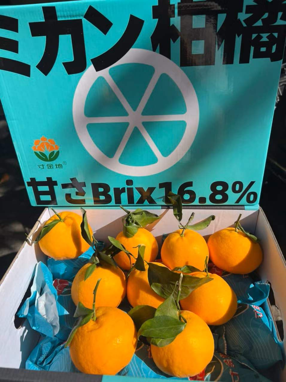 Theo tiết lộ của một số tiểu thương, đây là quýt chum giống Nhật được trồng tại Trung Quốc. Hồi tháng 11, quýt chum nhập về có giá từ 350.000 - 450.000 đồng/thùng trọng lượng 3,5-4kg. Sau đó, giá càng ngày càng rẻ. Ảnh: Facebook