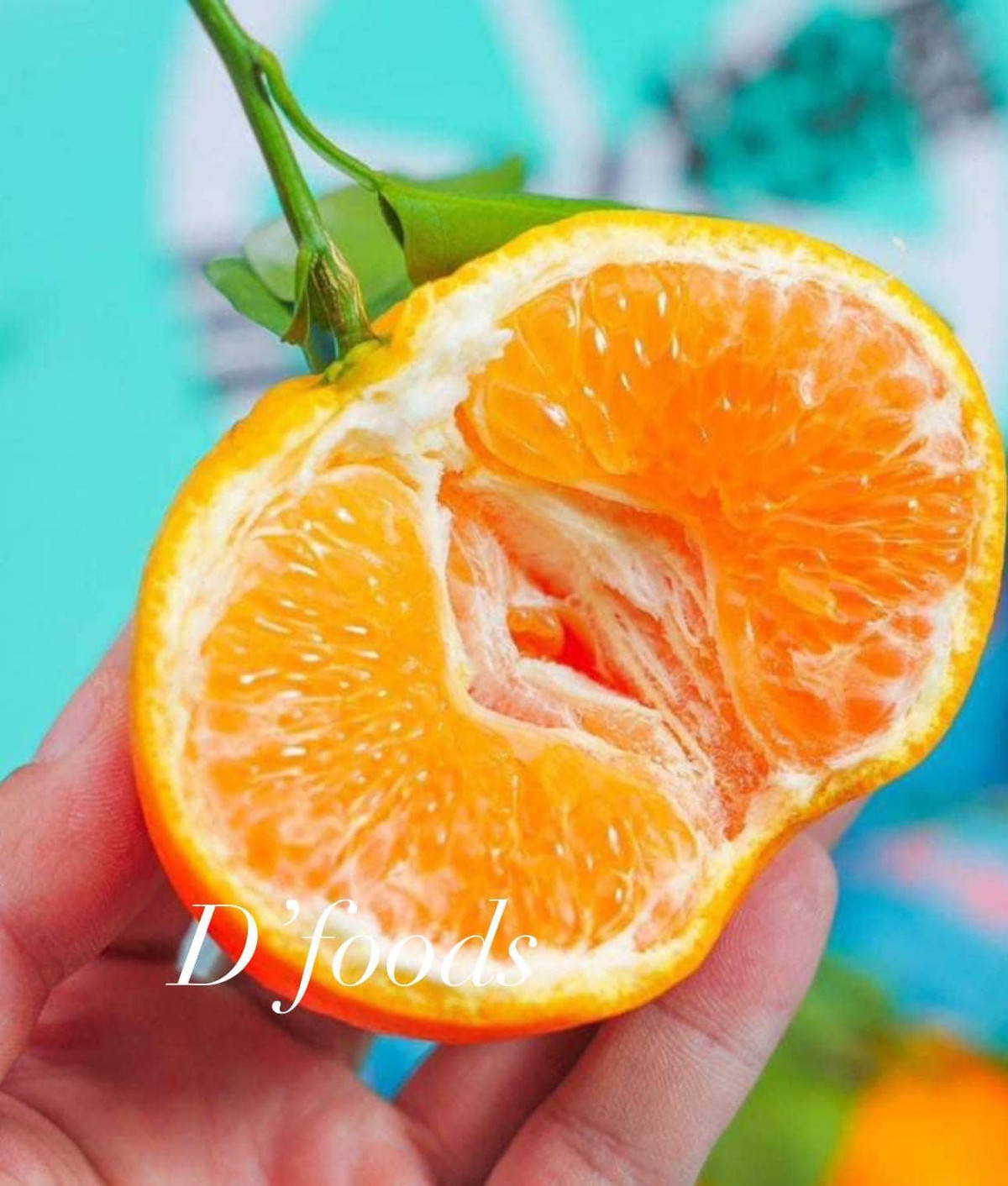 Đặc biệt, quýt chum có vị ngọt thơm đặc trưng pha chút vị chua thanh. Ảnh:D'foods