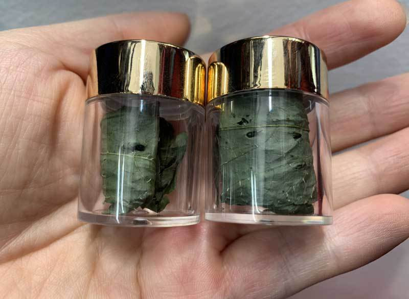 Tại một triển lãm, 5 chiếc lá khô vo lại thành viên từng được rao bán với giá 200.000 đồng khiến nhiều người sửng sốt. Ảnh: Vietnamnet