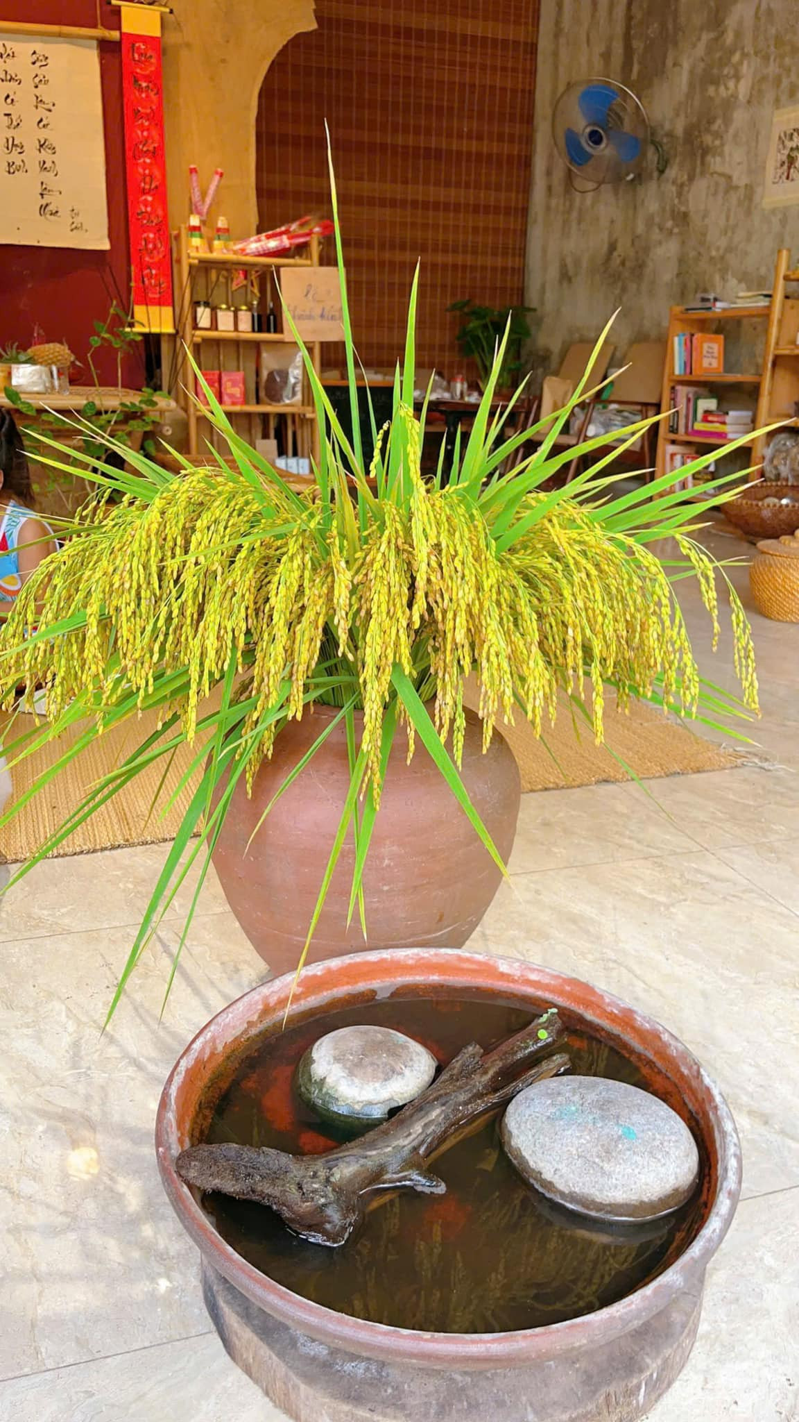 Với lúa, chị Giang chọn một chiếc bình có miệng vừa phải để cắm và chỉnh tỏa đều. Ảnh: FB Nguyễn Bích Thảo