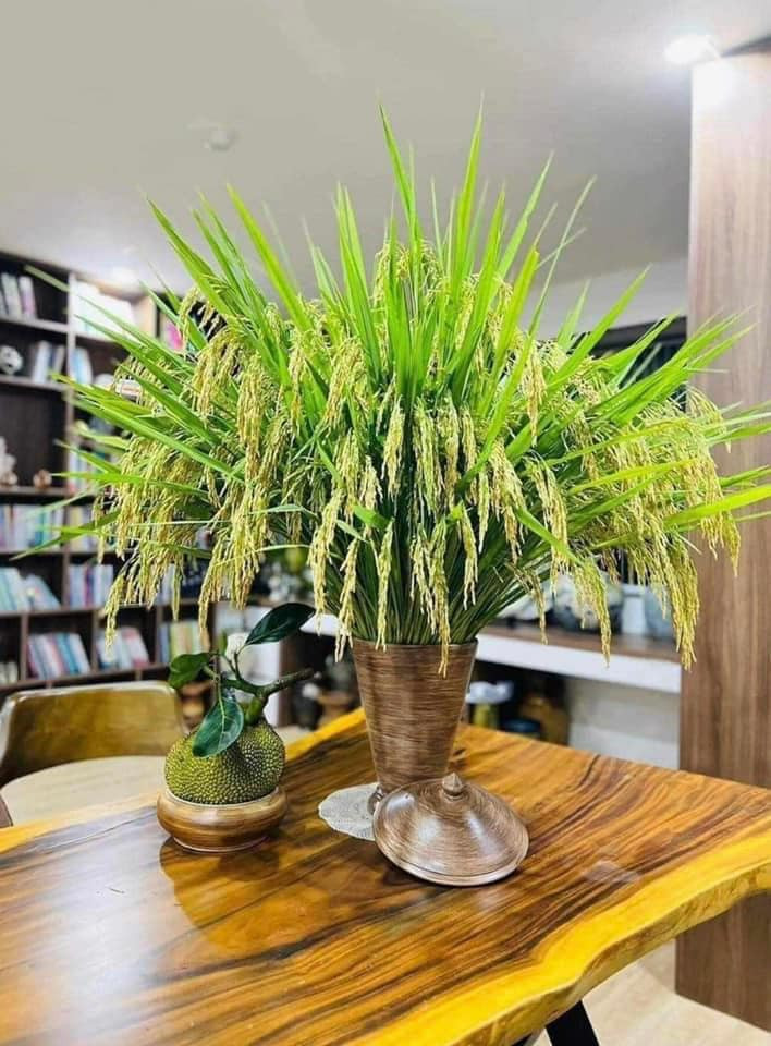 So với nhiều loại hoa thì lúa nếp cắm bình hơi đắt. Tuy nhiên, Mức giá này cũng đã hạ nhiệt hơn so với cách đây vài năm. Ảnh: Facebook