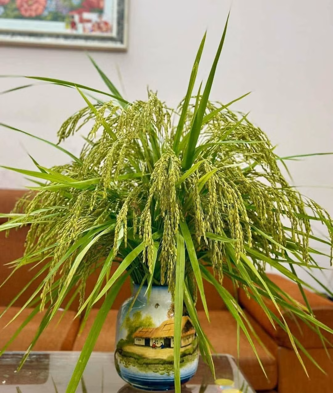 Theo người bán, lúa nếp được nhiều chị em đặt mua bởi vừa độc đáo vừa xua tan nỗi nhớ đồng quê, mang đến cảm giác mùa màng bội thu. Ảnh: Facebook