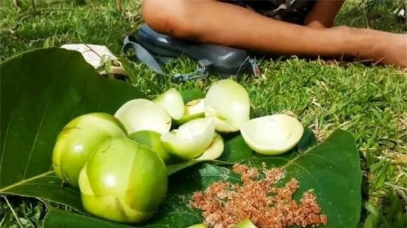 Trái sổ hay còn được gọi với nhiều cái tên khác như cây sổ bà, thiều biêu...là quả đặc sản ở các tỉnh Tây bắc như Bắc Kạn, Cao Bằng, Thái Nguyên, Lạng Sơn, Hòa Bình...Ảnh: Facebook