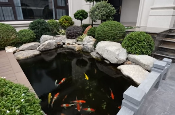 Thiết kế theo phong cách Nhật Bản, trong khu vườn không thể thiếu hồ cá Koi, mang đến không gian trong lành.