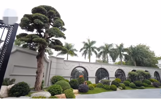 Ngôi nhà nằm trên khu đất có diện tích lên tới gần 1.000m2. Diện tích một sàn khoảng 400m2, còn lại là không gian dành cho sân vườn với cây tùng cao lớn.