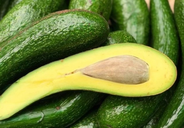 Vị thơm béo của bơ là một trong những lý do khiến loại quả này hút khách. Ảnh: DM
