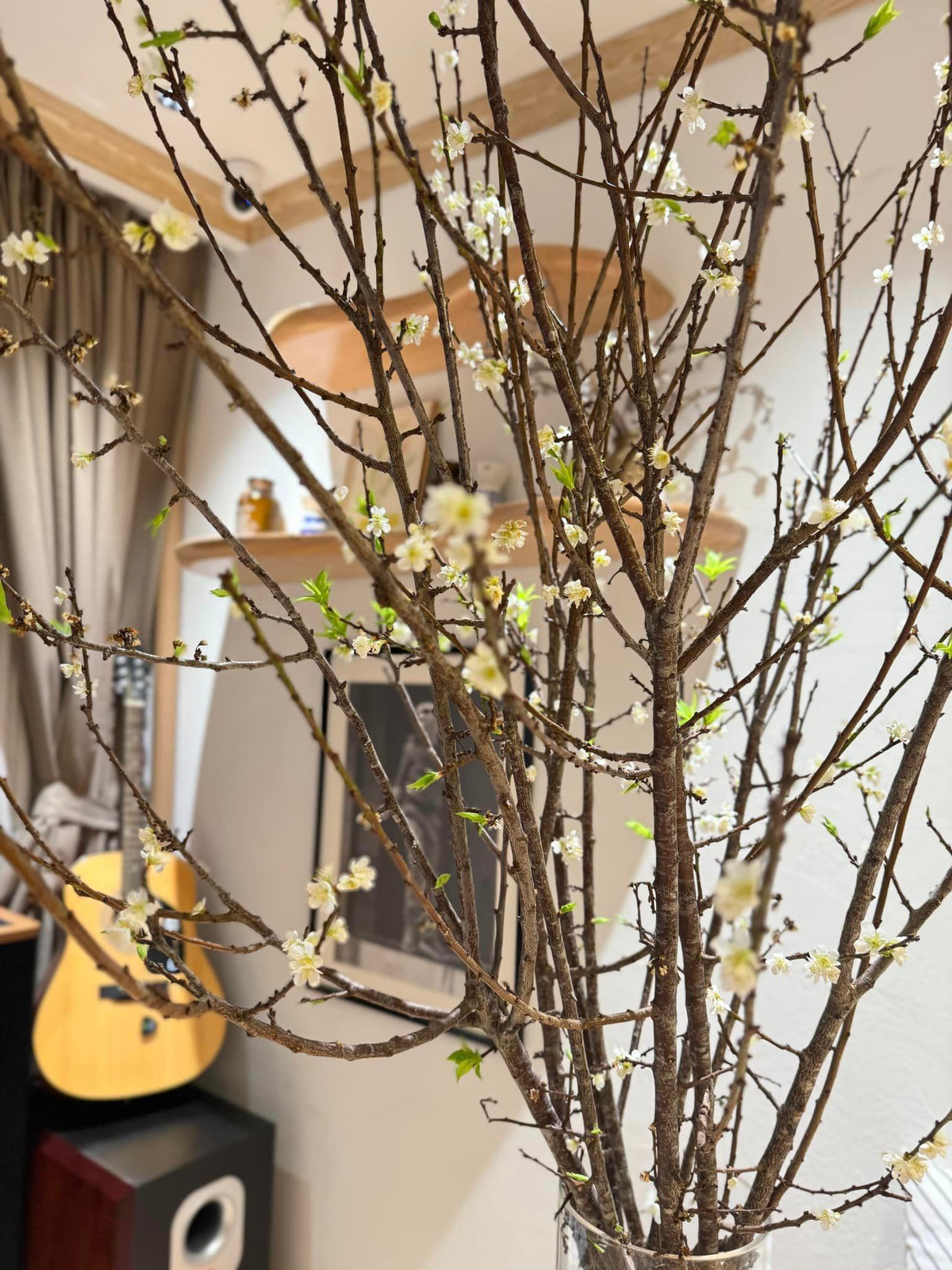 Góc nào trong nhà cũng được nữ MC tô điểm bằng hoa tươi. Ảnh: FBNV