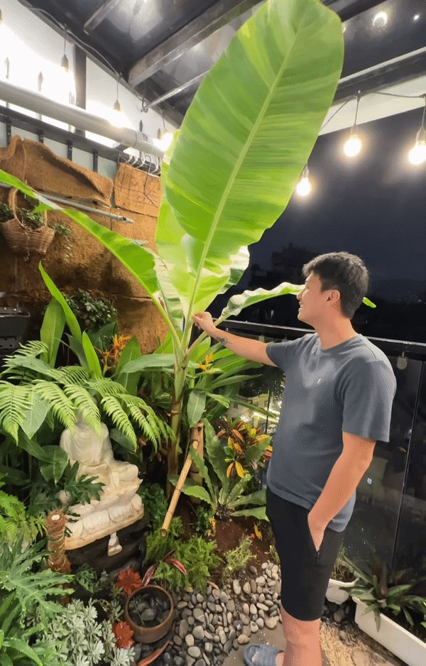 Bạch Lan Phương cho biết trời mưa gió nên cùng nam diễn viên ở nhà hát karaoke và chăm sóc khu vườn ban công. Trong khi Bạch Lan Phương cắt hoa lá trong vườn vào nhà cắm thì Huỳnh Anh tưới cây, dọn lá úa. Ảnh: FBNV