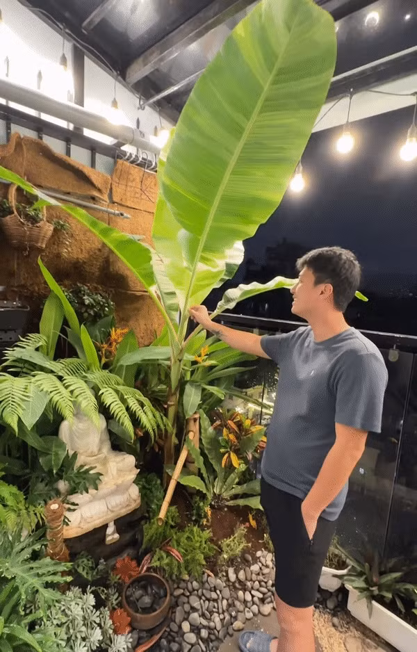 Bạch Lan Phương cho biết trời mưa gió nên cùng nam diễn viên ở nhà hát karaoke và chăm sóc khu vườn ban công. Trong khi Bạch Lan Phương cắt hoa lá trong vườn vào nhà cắm thì Huỳnh Anh tưới cây, dọn lá úa. Ảnh: FBNV