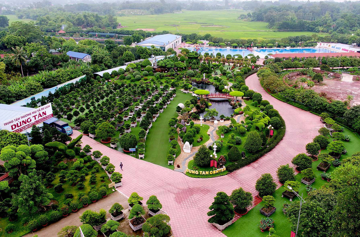 Khu vườn trưng bày vô số cây cảnh trong và ngoài nước. Ảnh: Cty Dũng Tân