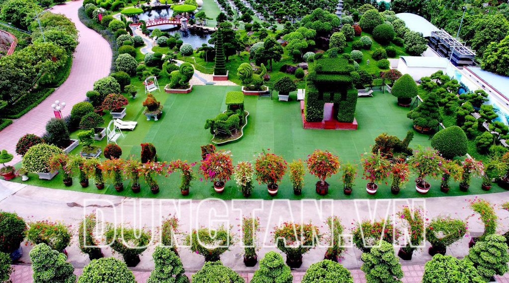 Theo tiết lộ của quản lý khu vườn, đại gia Dũng Tân có niềm đam mê lớn với cây cảnh. Cứ có cây nào đẹp là ông sẽ mua bằng mọi giá. Ảnh: Cty Dũng Tân