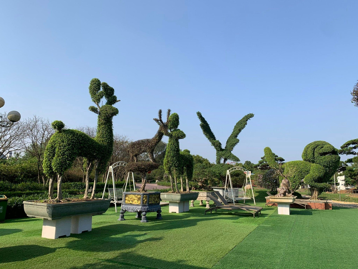 Khu vườn của đại gia Dũng Tân khiến ai cũng phải choáng ngợp bởi diện tích lên tới hàng chục hecta. Ảnh chụp màn hình Độc lạ Bình Dương